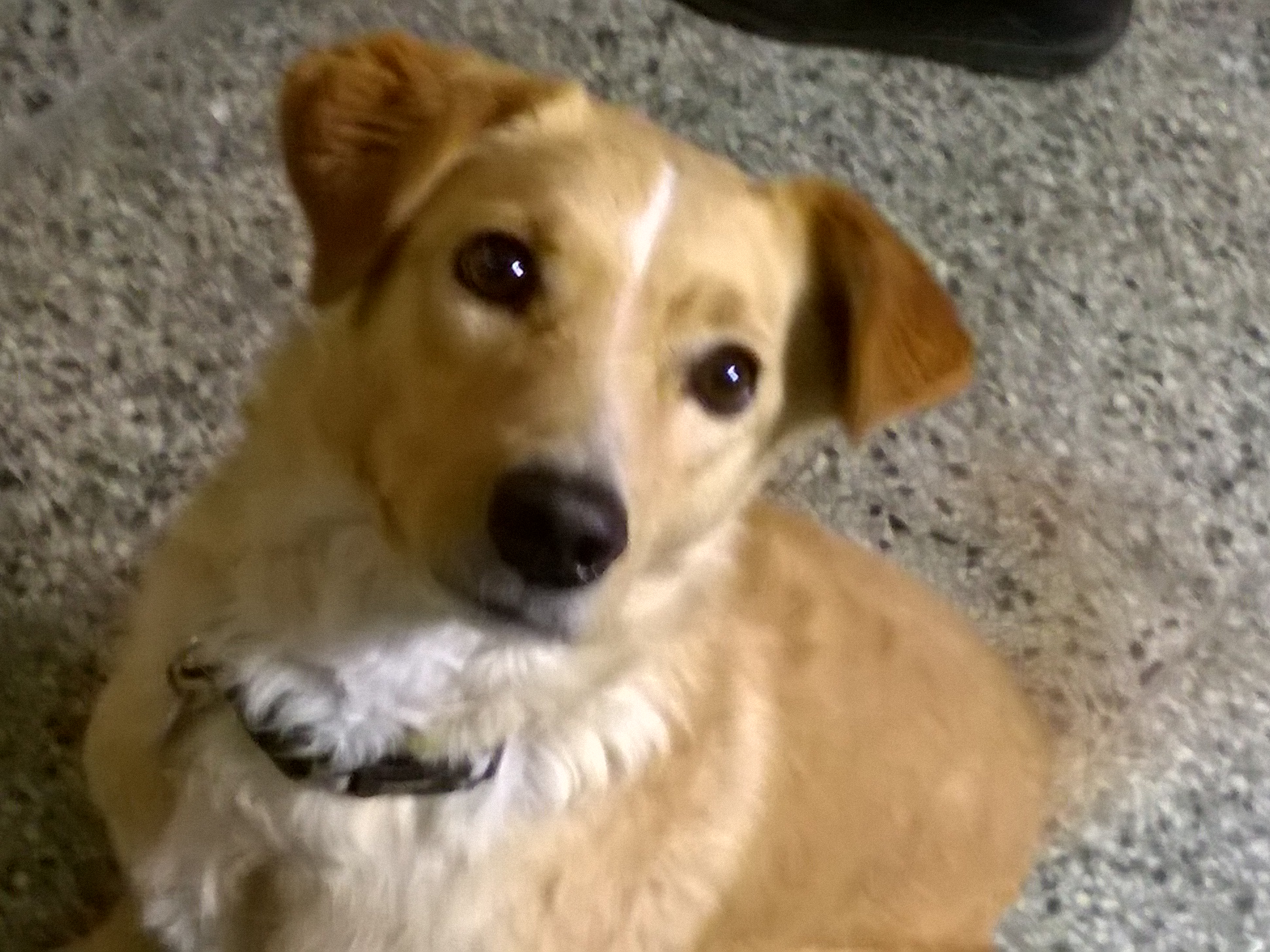 Tobi 2